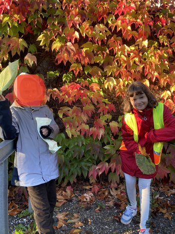 thumbnail_IMG_4793_k