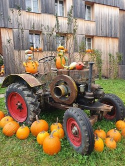 thumbnail_20251017_105035__002_1