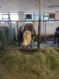 s_20260519_091704