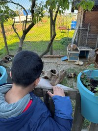 IMG_8919