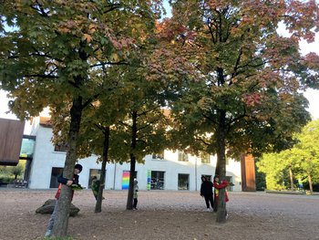 thumbnail_IMG_4790__1_