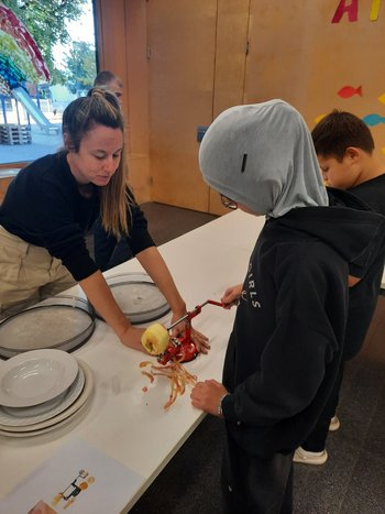 thumbnail_10000795903